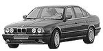 BMW E34 P1130 Fault Code
